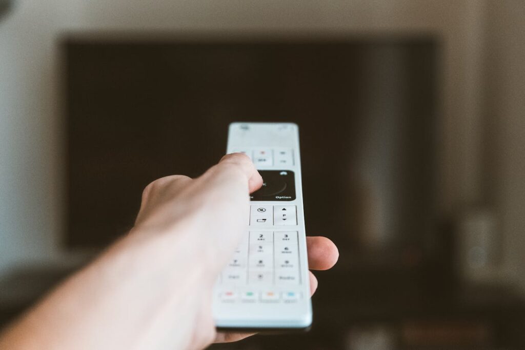 A person holding a remote control in front of a television